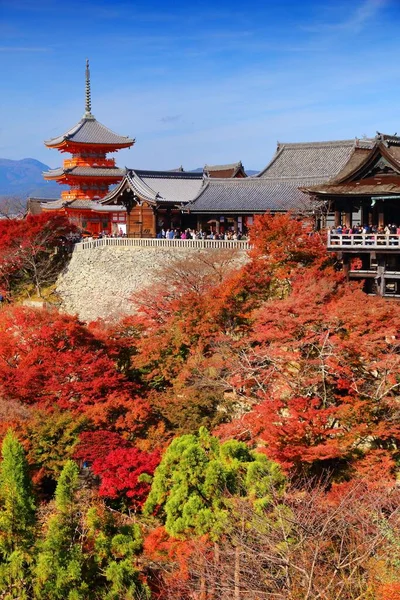 Kyoto Vartegn Japan Kiyomizu Dera Templet Efteråret - Stock-foto