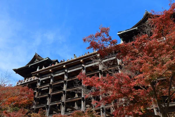 Kyoto Japan Listopad 2016 Ludzie Odwiedzają Świątynię Kiyomizu Dera Kioto — Zdjęcie stockowe