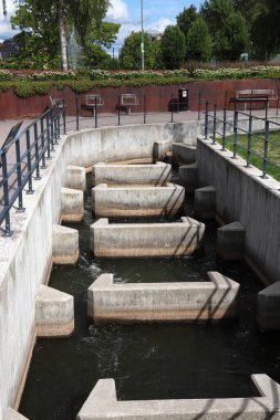 Balık göçü altyapısı - İsveç 'te balık merdiveni. Norrkoping, İsveç 'te park.