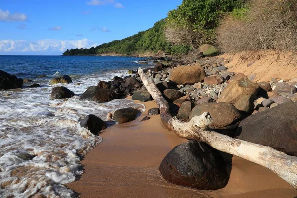 Gwadelupa Piaszczysta Plaża Karaibski Krajobraz Wakacyjny Grande Anse Beach Żółty — Zdjęcie stockowe