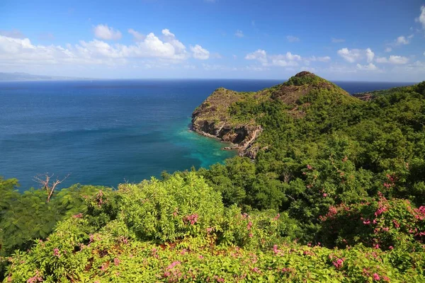 Guadeloupe Les Saintes Adaları Terre Haut Adası Güzel Manzara — Stok fotoğraf