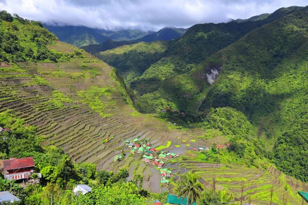 Reisfelder Auf Den Philippinen Reisterrassen Batad Philippinen — Stockfoto