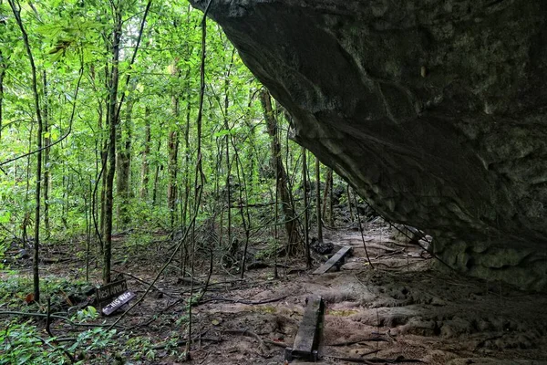 Filipinler Deki Palawan Adasında Yürüyüş Parkurunda Tropikal Karst Ormanı — Stok fotoğraf