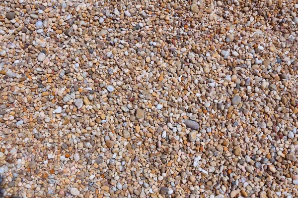 Pebbles Background Shingle Beach Pattern Gargano Peninsula Italy — Stock Photo, Image