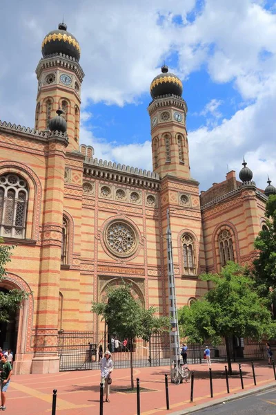Budapest Węgry Czerwca 2014 Ludzie Odwiedzają Synagogę Przy Ulicy Dohany — Zdjęcie stockowe