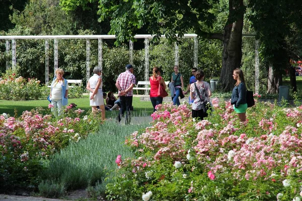 ブダペスト ハンガリー 月21日 2014 ブダペストのマーガレット島の庭園を訪れる人々 島は12世紀から居住している 今では主に公園で覆われて大きなエリアです — ストック写真