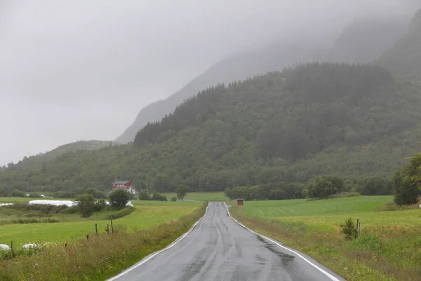 Νορβηγικό Τοπίο Περιοχή Nordland Βροχερός Καιρός Επαρχιακός Δρόμος — Φωτογραφία Αρχείου