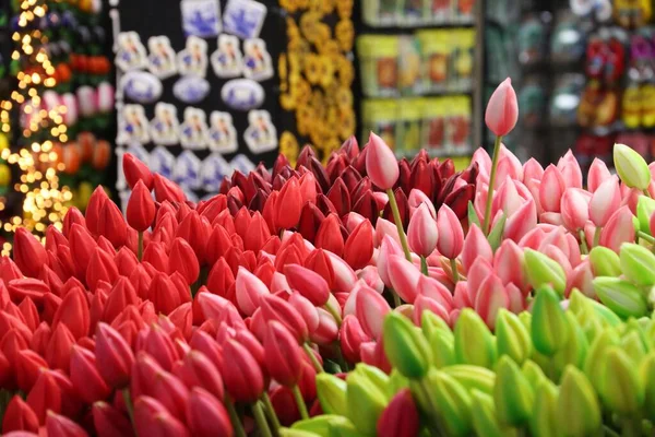 Amsterdam Lale Çiçekleri Çiçek Pazarında — Stok fotoğraf