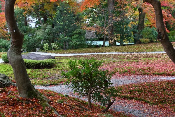 Japanese Garden Nara Japan Autumn Leaves Yoshikien Garden Nara — Stock Photo, Image