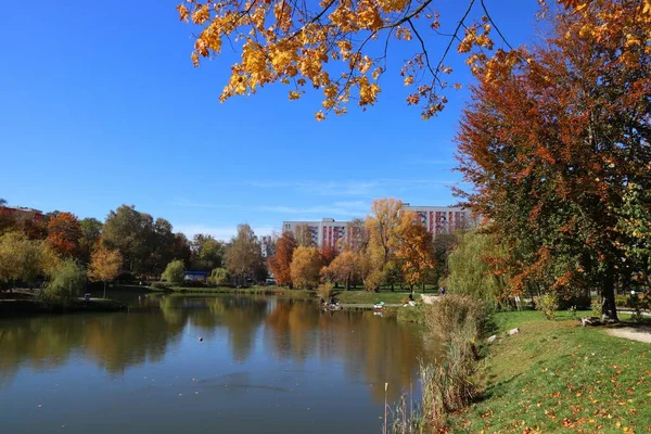 Europa Cores Outono Outono Polonês Dourado Parque Cidade Bytom Região — Fotografia de Stock