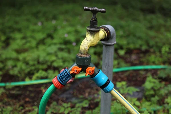 Connettore Rubinetto Giardino Con Doppio Splitter Tipo Attrezzature Utili Giardinaggio — Foto Stock