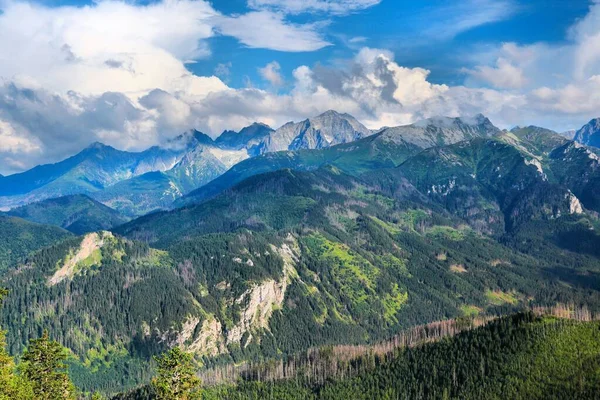 斯洛伐克的鞑靼山是在波兰的远足路上看到的 鞑靼人的风景Ladovy Stit山 — 图库照片