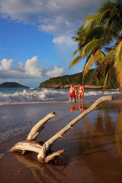 法国瓜德罗普 2019年12月2日 人们在巴塞尔地球岛上的珀尔海滩度假 瓜德罗普岛每年有650 000名游客 — 图库照片