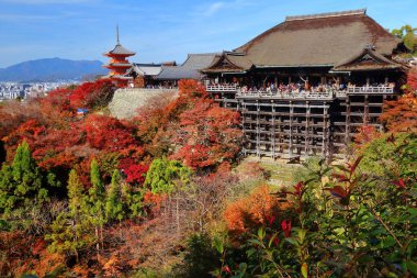 Kyoto simgeleri, Japonya. Sonbaharda Kiyomizu-dera Tapınağı.