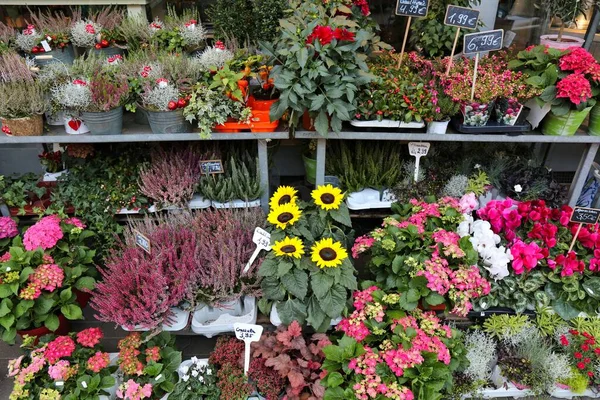 리스트 상점에서는 겔젠키르헨 손수레를 준비하였다 가게에서는 가을에 히스와 꽃병을 — 스톡 사진
