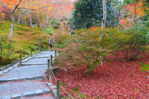 嵐山の天竜寺庭園 紅葉公園の道 — ストック写真