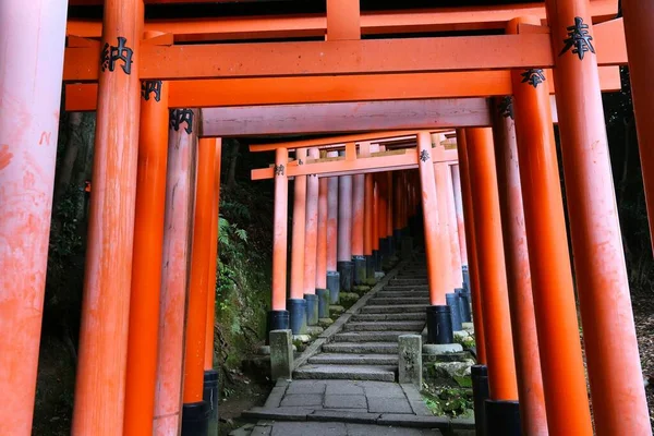 Кёто Япония Ноября 2016 Года Ворота Тори Храма Инари Таиша — стоковое фото