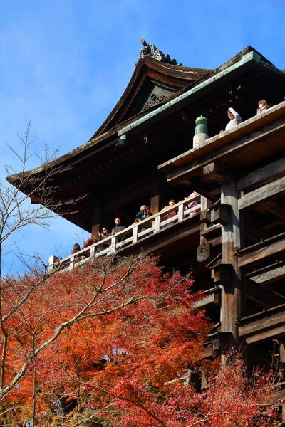 Kyoto Japão Novembro 2016 Pessoas Visitam Templo Kiyomizu Dera Kyoto — Fotografia de Stock