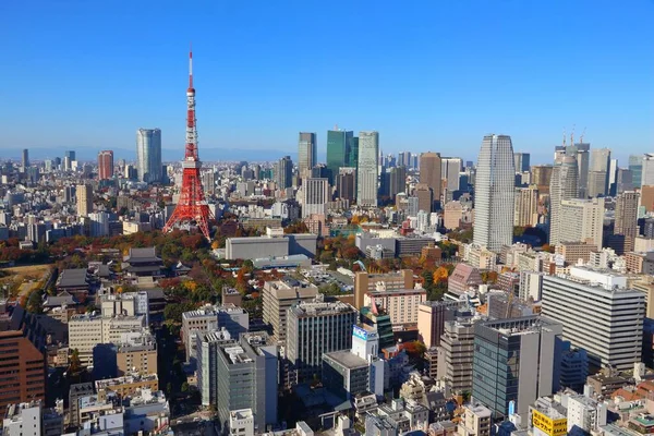 Tokyo Japan December 2016 Cityscape Tokyo Відомою Tokyo Tower Столиця — стокове фото