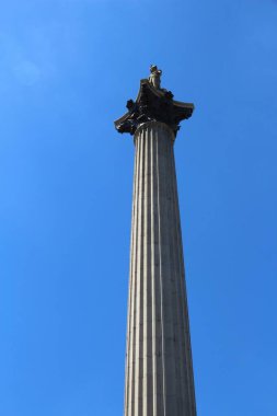 Nelson 's Column Trafalgar Meydanı, Londra, İngiltere.