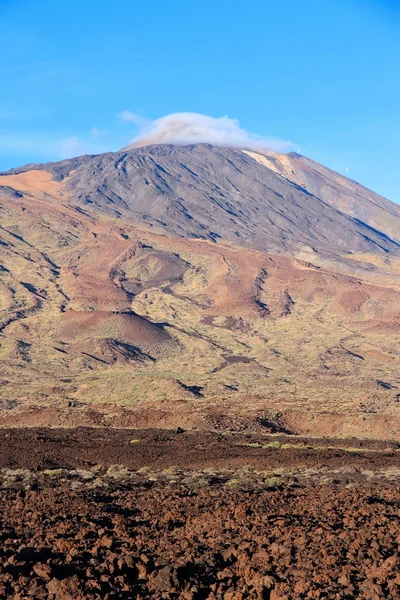 Tenerife — Stock fotografie