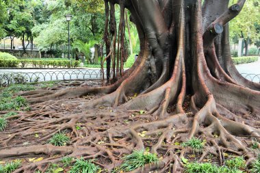 Park Seville, İspanya