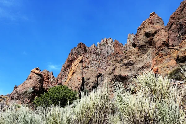 Tenerife — Stock fotografie