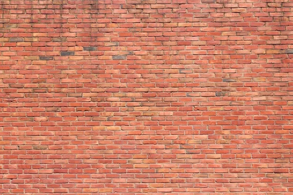 Brick background — Stock Photo, Image