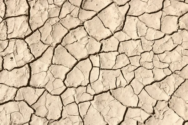 Woestijn grond — Stockfoto