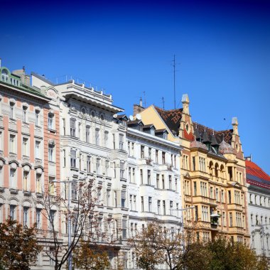 Vienna, Avusturya