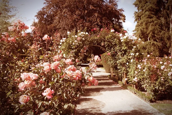 Jardines Christchurch — Foto de Stock