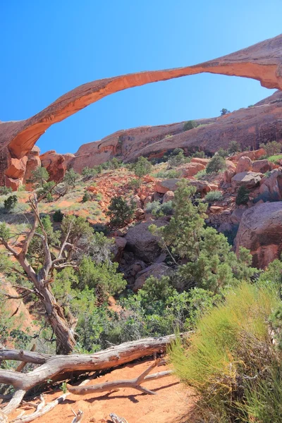 Arco de paisaje — Foto de Stock