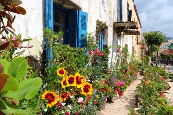 Pouliční zahrada v Řecku — Stock fotografie