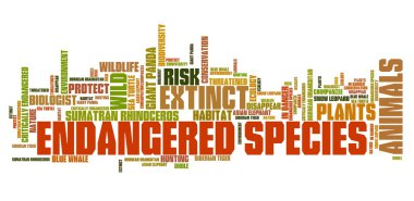 nesli tükenmekte olan hayvanlar