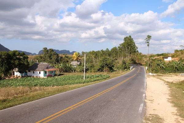 Campo en Cuba — Foto de Stock