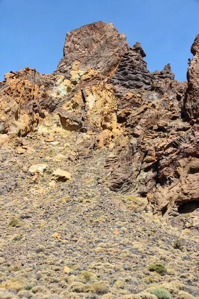 Natureza de tenerife — Fotografia de Stock