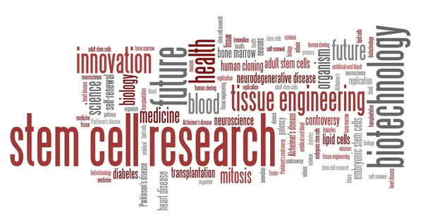 Έρευνα βλαστικών κυττάρων — Φωτογραφία Αρχείου