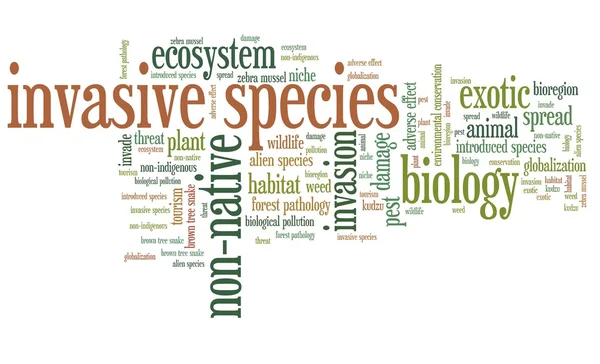 Invasive species — Stock Photo, Image