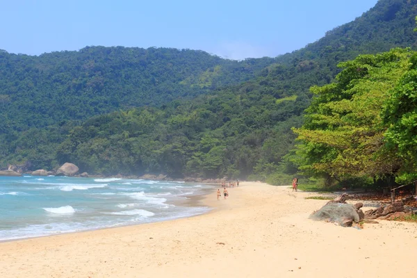 Trindade beach, Brazil — Stock Photo, Image