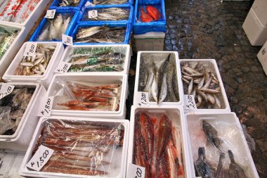 tsukiji balık pazarı