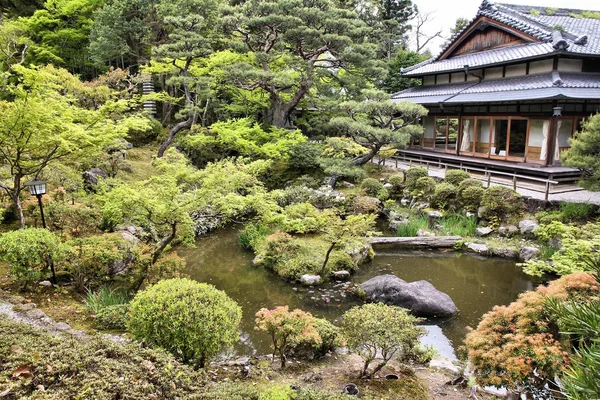 Japonya çay bahçesi — Stok fotoğraf