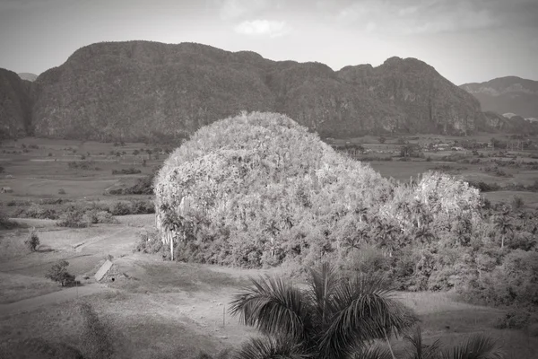 Kuba putih hitam — Stok Foto