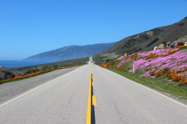 Pacific Coast Highway clipart