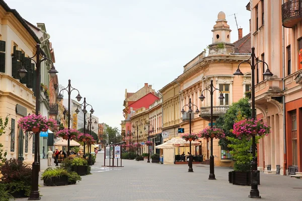 Kaposvár, Maďarsko — Stock fotografie