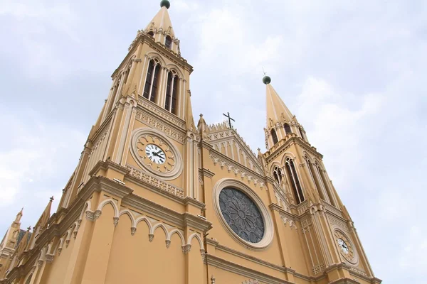 Curitiba Cathedral — Stock Photo, Image