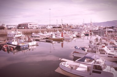 Reykjavik Limanı