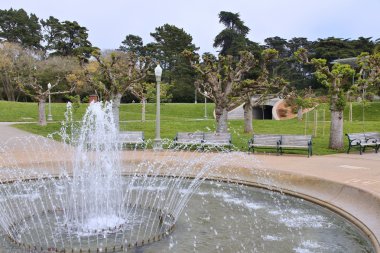 Golden gate Parkı