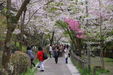 Kyoto insanlar