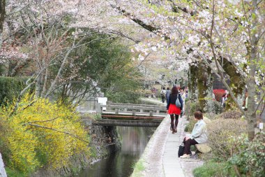 Kyoto Parkı