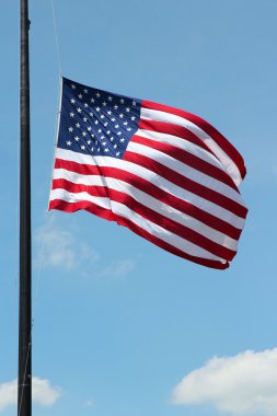Amerikan Bayrağı